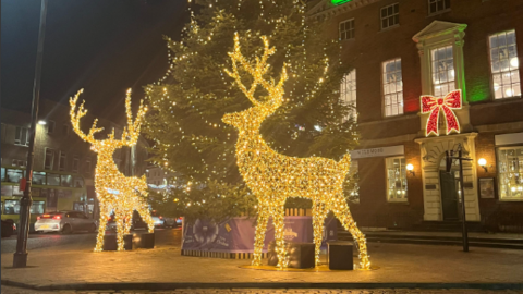 Light up reindeers stand in front of a large Christmas tree in Taunton, there is a building with a light-up bow in the background.