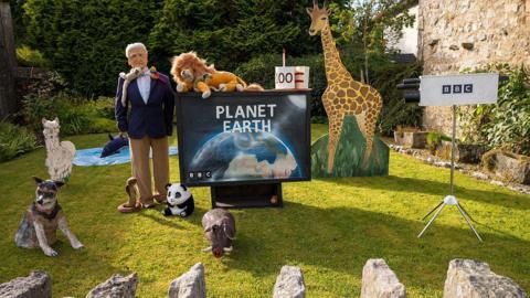 This shows a Planet Earth themed display complete with TV, animals and scarecrow David Attenborough
