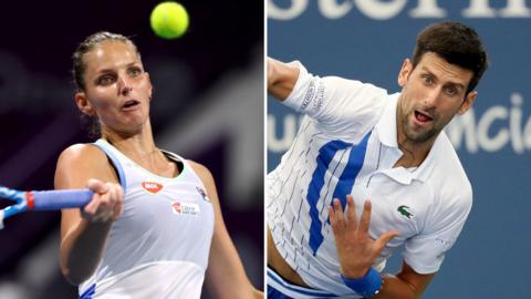 Karolina Pliskova and Novak Djokovic