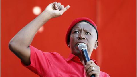 Julius Malema