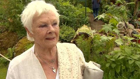 Dame Judy Dench at the Chelsea Flower Show