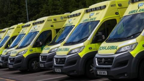 A line of ambulances