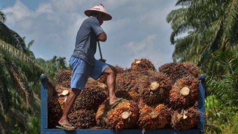 The palm oil industry has unexpectedly been dragged into tensions over Kashmir