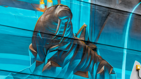 Walrus in Harrington Street mural