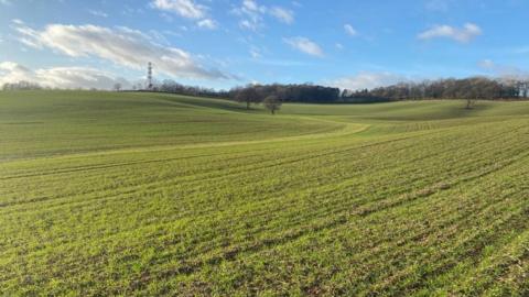 A picture of farmland