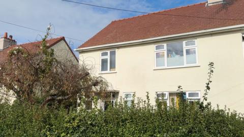 A cream house with a bush and a tree in front. 