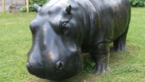 Bronze hippo