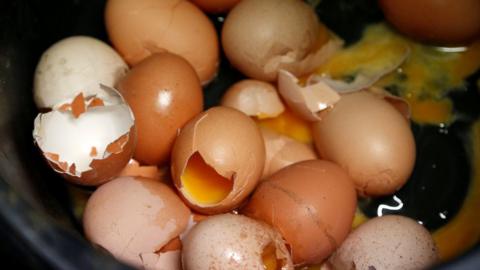 Broken eggs are pictured on a production line at a poultry farm in Wortel near Antwerp, Belgium August 8, 2017.