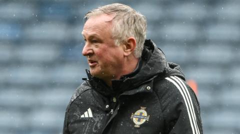 Northern Ireland manager Michael O'Neill