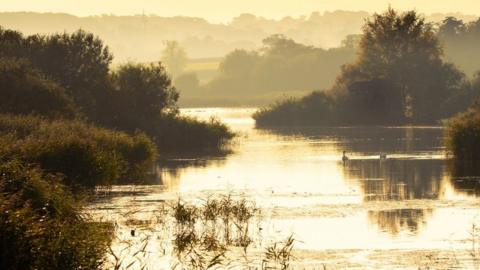 Shapwick Heath National Nature Reserve