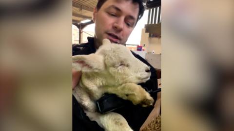 An officer holding the lamb