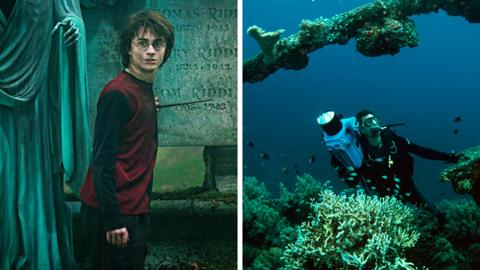 Harry Potter and a Discovery nature documentary