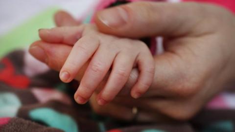 adult hand holds baby's hand