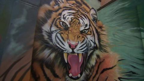 Tiger mural at Leicester's home ground