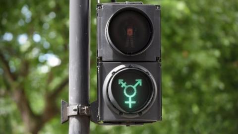 A green transgender symbol on a pedestrian crossing light in Trafalgar Square