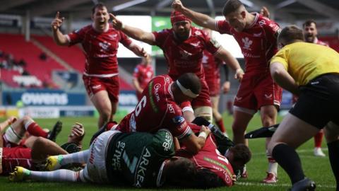 Scarlets yn dathlu