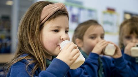 Primary school children enjoying milk at snack time - stock photo