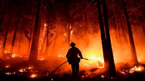 A fire in the Sequoia National Forest in August 2021.