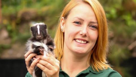 A handler at the zoo