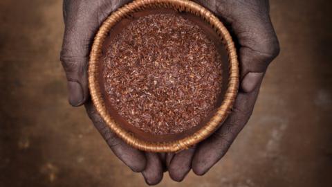 Person holding cup of rooibos