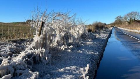 Hedges covered in ice with water with blue sky