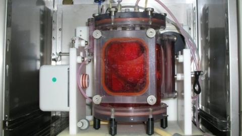 Bioengineered lung in bioreactor