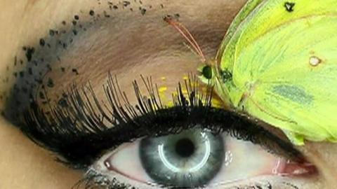 Dead insect eye make-up art