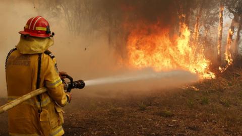 Bushfire in New South Wales