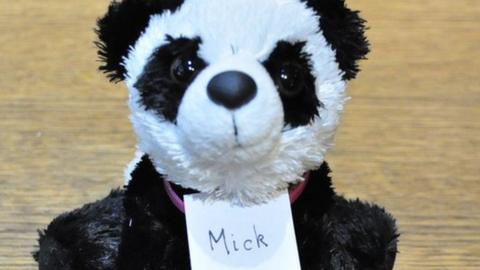 'Panda Mick', the winning entry in the Turnip Prize 2021