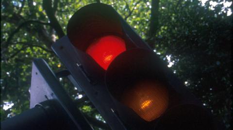 A red traffic light with green leafy trees behind it.