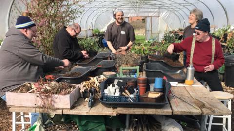 Service users during a horticultural therapy session at Veterans' Growth 