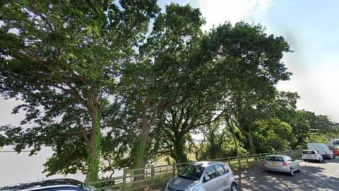 Row of green trees pictures in 2019