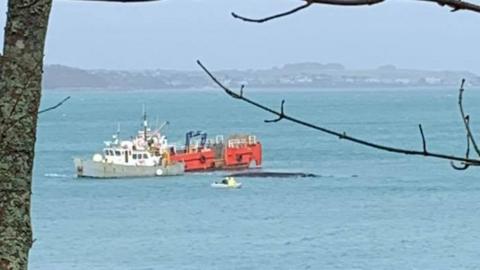 Two boats at sea working to remove the whale