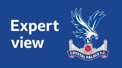 Crystal Palace expert view