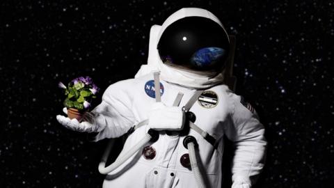 astronaut-holding-plant-in-space.