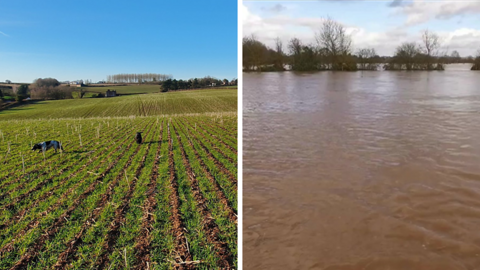 Split screen of farm before and after flood