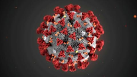 A coronavirus illustration.