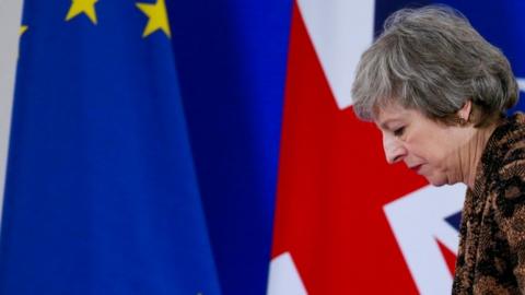 Theresa May in front of flags