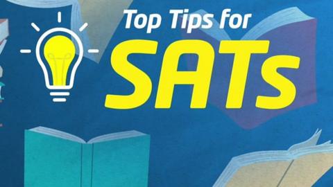 Top tips for Sats