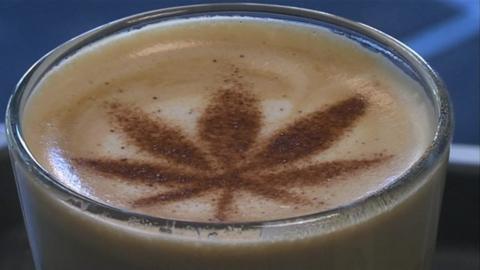 A coffee with a chocolate powdered cannabis leaf on top