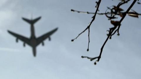 Plane and trees