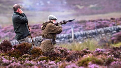 Grouse shooting in Dunkeld in Scotland
