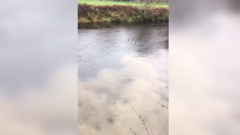 Sewage spilling into the River Conwy near some ducks