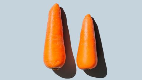 Two carrots on a blue background