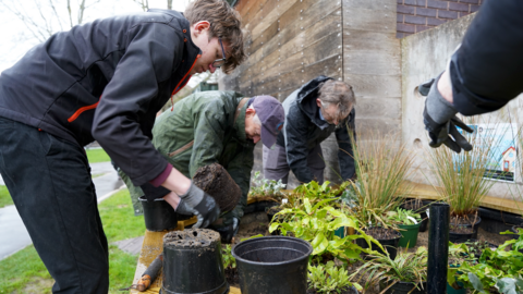 People planting