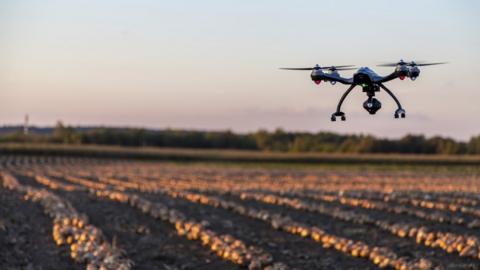 Drone flying over onion field