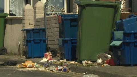 Rubbish strewn on a Bangor street with wheelie bin and recycling boxes out - and a baby seagull scavenging food on pavement