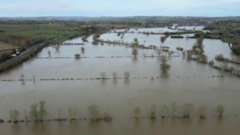 Flooded fields