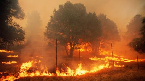 California wildfire