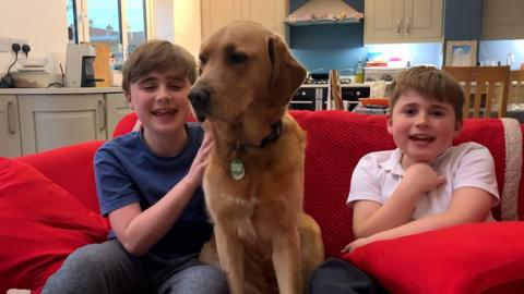 Assistance dog sits next to children